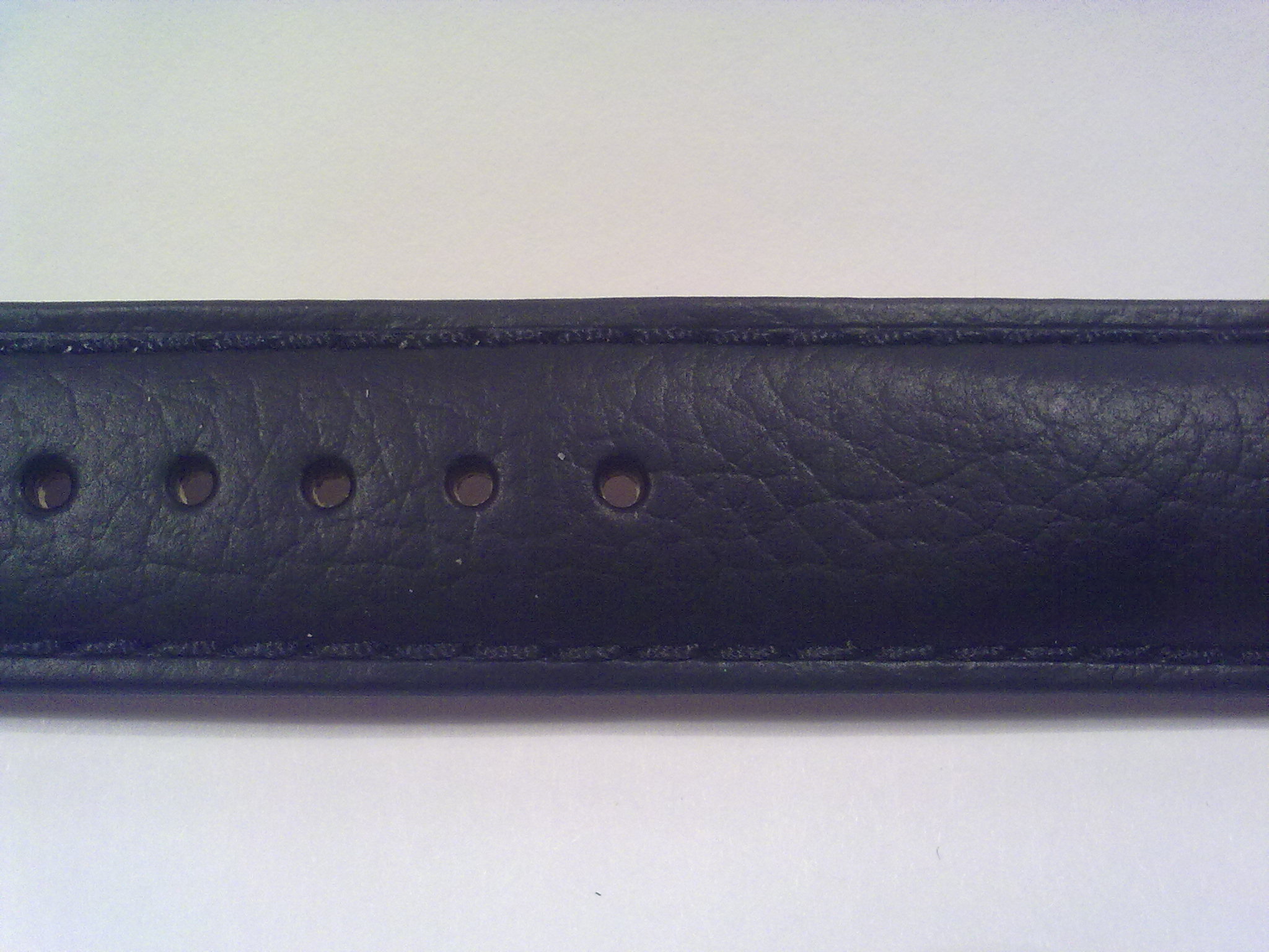 Leather Strap, Black 22mm SS
