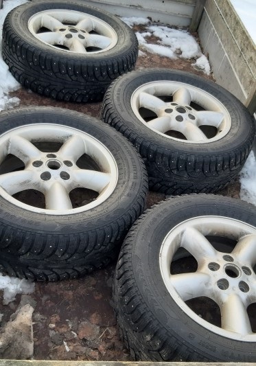 [Image: 20210116_124834%20%28Medium%29.jpg]