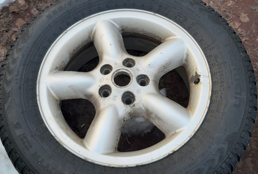 [Image: 20210116_124852%20%28Medium%29.jpg]